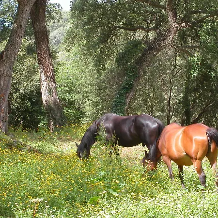 Maisonnette Du Berger De Croccano Σπίτι διακοπών