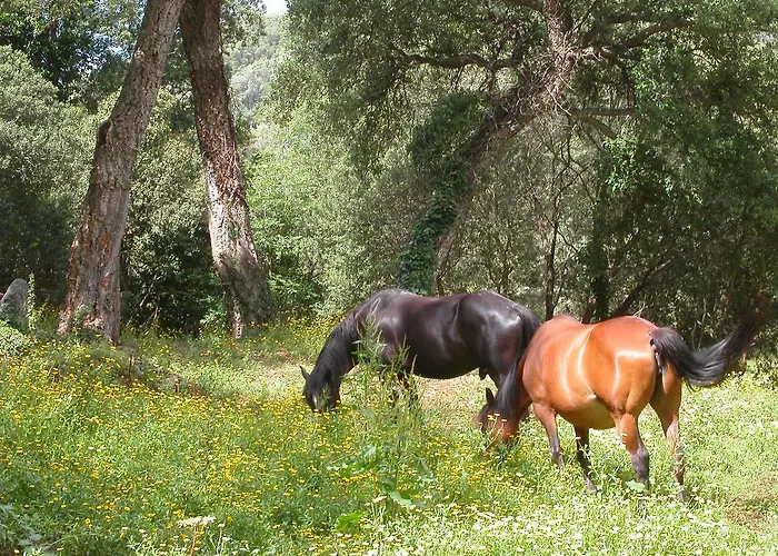 Maisonnette Du Berger De Croccano Tatil Evi