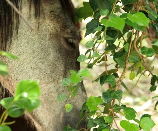 Maisonnette Du Berger De Croccano Sartène